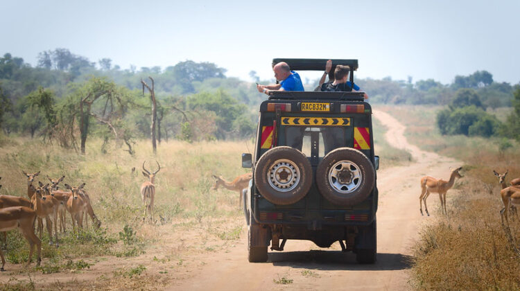 African Safari in Rwanda