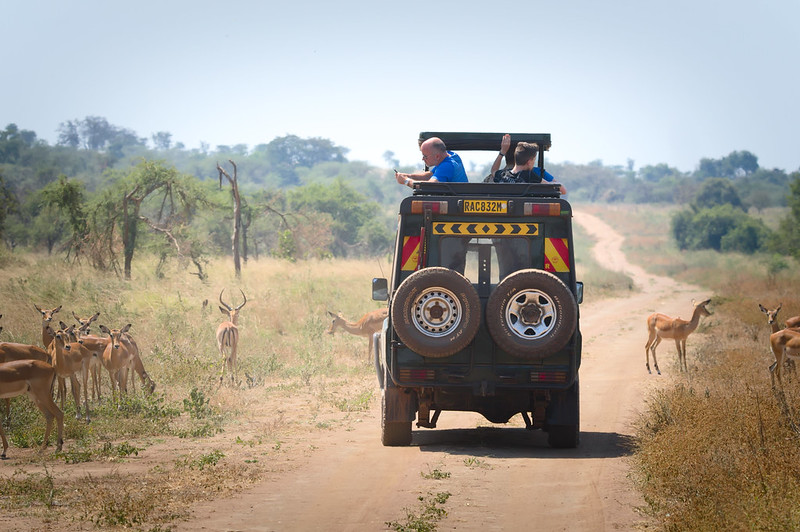 African Safari in Rwanda