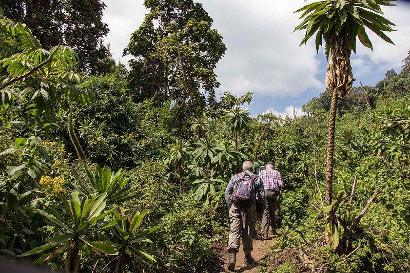 Hike the Bisoke Volcano