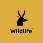 Africa Wildlife Sightings